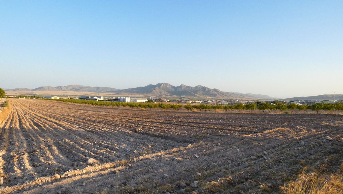 PARCELA SITUADA A 500 METROS DE LA POBLACIÓN - inmoces.com